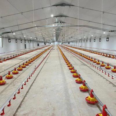 Poultry Flooring System for Broiler Chicken High Yield Farming