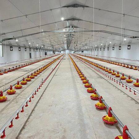 Poultry Flooring System for Broiler Chicken High Yield Farming