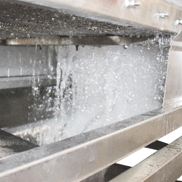 304 Stainless Steel Ozone 2000kg/H Fruit Vegetable Washing Machine