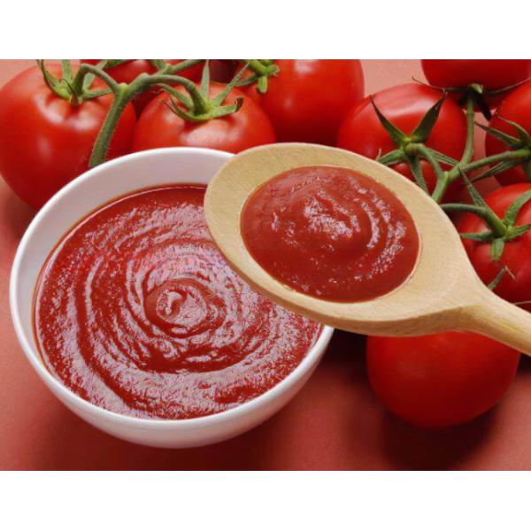 Машины для изготовления томатного пюре для терминальной упаковки Вариант 3