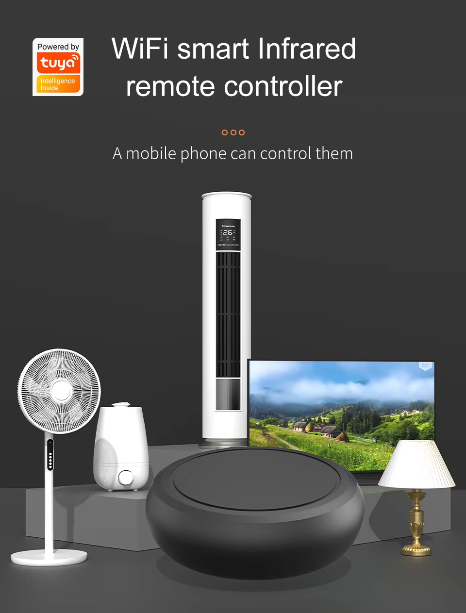 OEM/ODM Smart IR RF Hub, Tuya White Label Universal Remote Control for Smart Home Hotel HVAC System Integration
