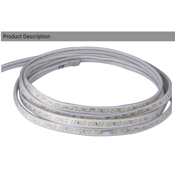 220V 5730 white warm white blue purple Flexible strip lighting led Double row 120chips/m LED strip lights/led light stri