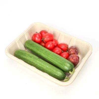High-Speed Biodegradable Medical Paper Bag Making Machine for Environmentally Friendly Disposable Lunch Boxes