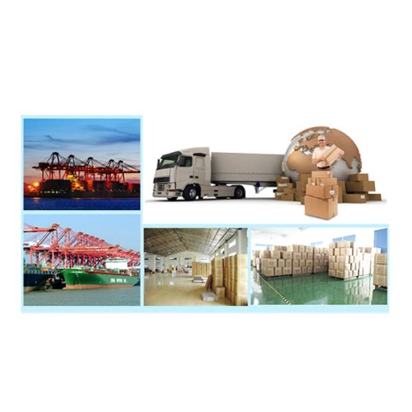 Opaque / Clear Security Bags , Plastic Tamper Evident Cash Security Bags