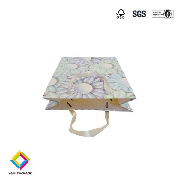 Matte Lamination Surface Treatment Shopping Paper Bag Eco Friendly