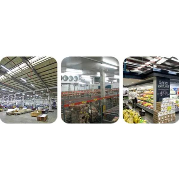 Damp Proof Commercial LED Emergency Lights 60W For Storehouse Workhouse IP66