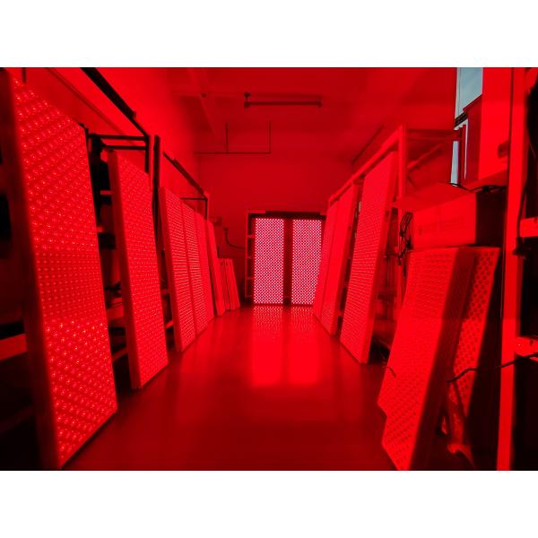 Acne Treatment Standing Infrared Red Light Therapy Panel 6000w Biggest LED Device for Home No Flicker