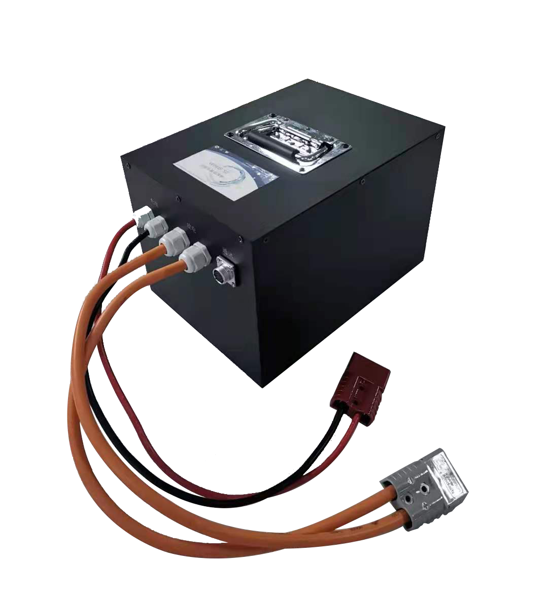 LiFePO4 Electric Golf Cart Batteries 800 Cycles 24V 10Ah Battery