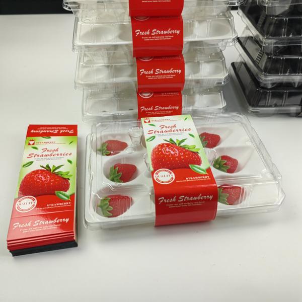 Wholesale Transparent Fresh Strawberry Packaging Container Supermarket Food Plastic Box Plastic Strawberry Packing Box