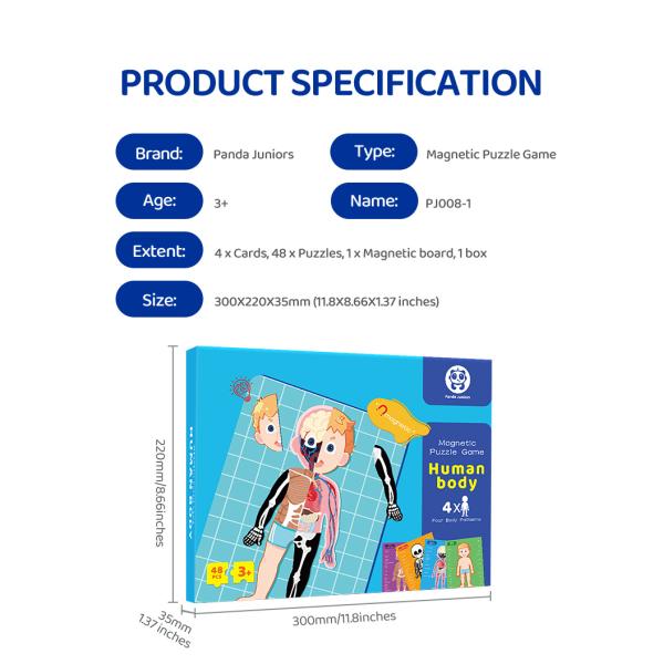 Модель человеческого тела реалистический человеческий дисплей анатомии забавляется 48 частей ранг 3+ возрасты 8+