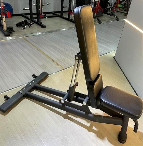 Freeman Commercial Gym Fitness Equipment Adjustable Modern Steel Sit-Up Bench Foldable Bodybuilding Bench