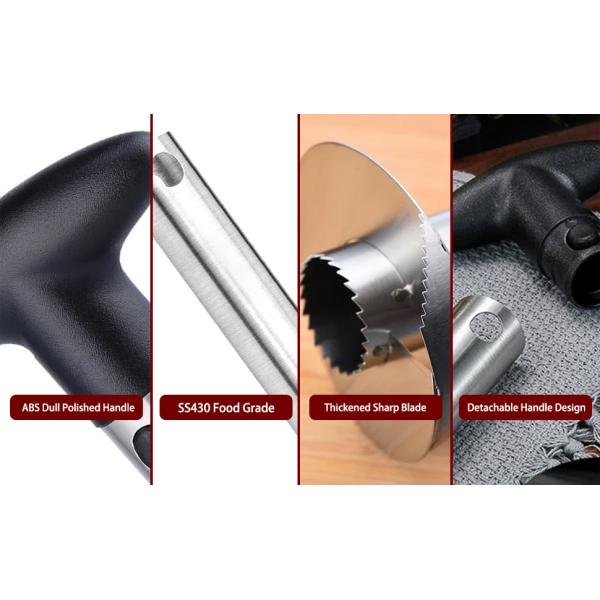 Stainless Steel 304 Pineapple Corer Slicer Fast Kitchen Gadget for Easy Core Removal