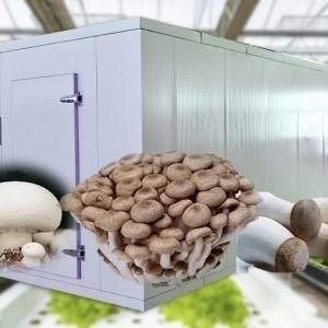 18000.000kg Casa de contentores para o cultivo de vegetais de folhas verdes Restituições de devolução garantidas