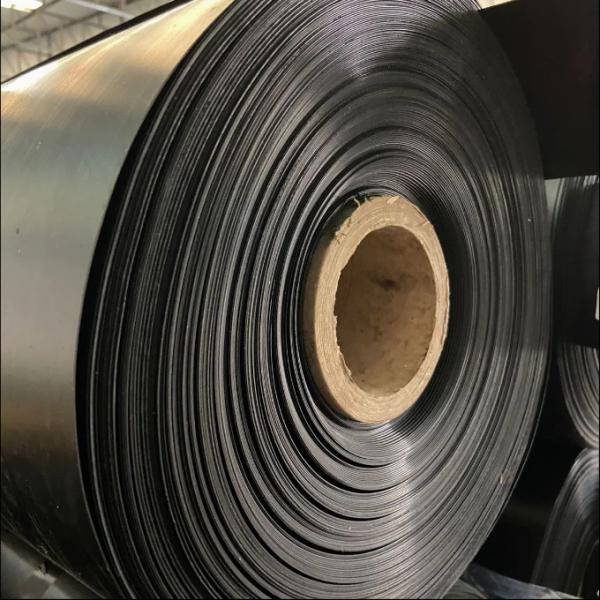 PVC Geomembrane Liner Black Environmentally Friendly Geomembrane Substrate For Sewage Treatment Plants