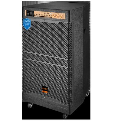 12V / 20Ah 200W Pre Amplified Speaker Sound Box Audio Equipment With Wireless Mic