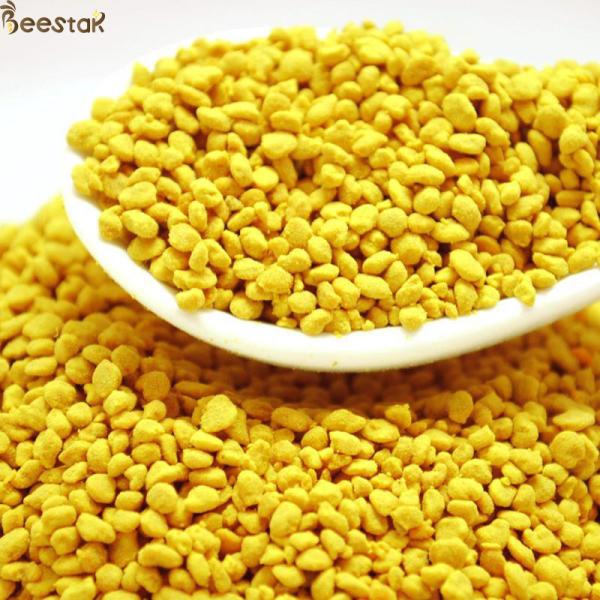 100% Pure Natural Rapeseed Pollen with 8% Moisture and Yellow Color for Beekeeping and Human Consumption