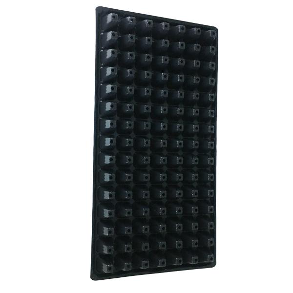 55mm Height Hole 1mm HIPS Plastic Seedling Tray 32cell Trees Plant Seed Tray