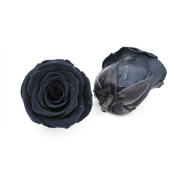 6pcs Long Lasting Diameter 5-6cm Preserved Flower Heads
