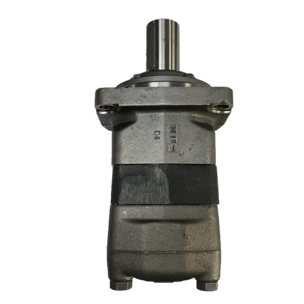 Danfoss Hydraulic Pump OMV630151B3319 Low Maintenance Costs High Torque Output High Load Capacity Adaptable Smooth Operation
