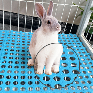 Rabbit Cage Mat Floor Plastic Bunny Resting Mats For Wire Cage Bottom Washable Small Animal Feet Pad With Holes For Chinchilla Ferret Guinea Pig Easy To Cut And Splice