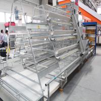 Pássaros automáticos completos da gaiola 160 da galinha da bateria do projeto o mais novo/grupo