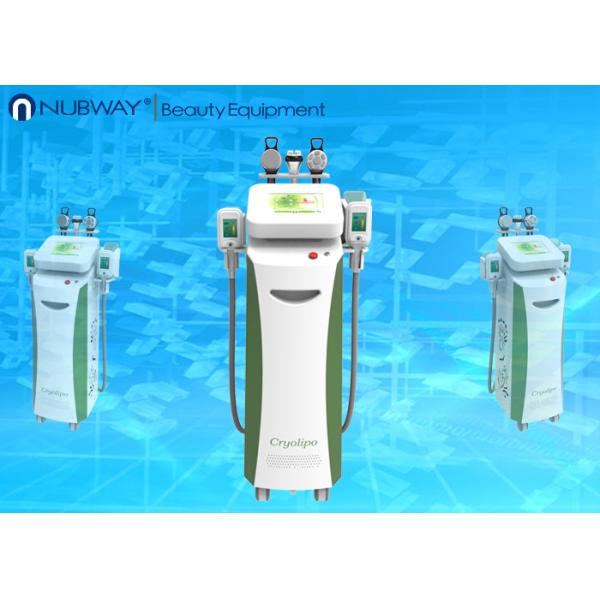 Multifunctional cryotherapy weight loss / cryolipolysis slimming for salon use