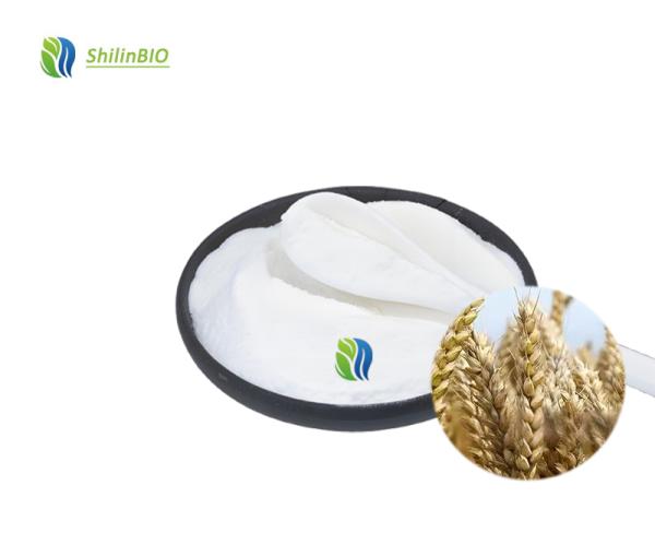Wheat Protein Peptide