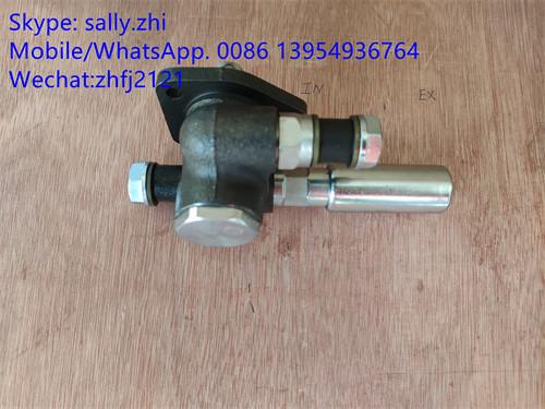 SDLG Hand pump 4110000991053 /1000428779 for Weichai Deutz TD226B WP6G125E22, weichai engine parts for sale
