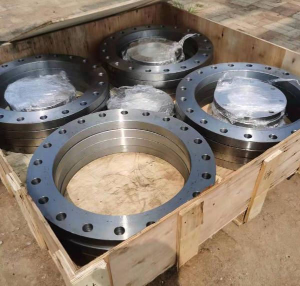Cast Or Forged Dn15 Stainless Steel Flanges For Pipe