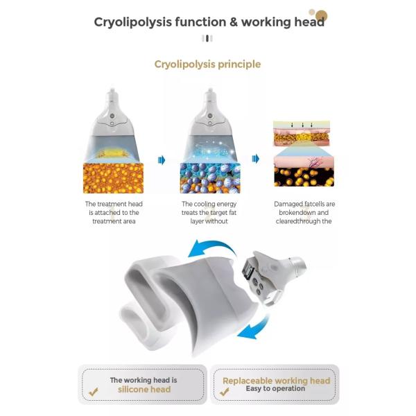 360 Ice Sculpture Cryolipolysis Fat Freeze Slimming Machine Body Fat Removal Belly Fat Reducing Machine for Salon