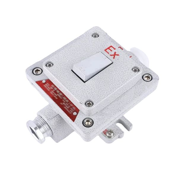 Flameproof Type Explosion-proof Wall Switch Surface-mounted Explosion-proof, Dust-proof and Water-resistant