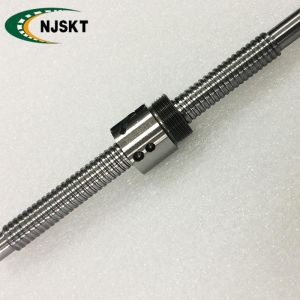 BSHR01004 10mm Diameter Ball Screw Shaft Bidirectional Lead Screw
