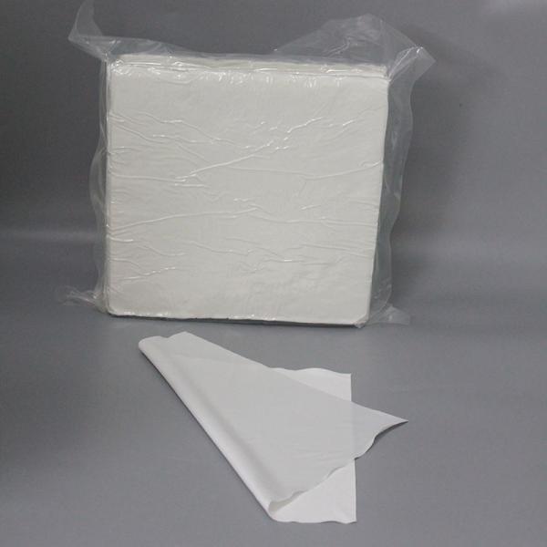 Essuie-glace jetable non pelucheux de CleanRoom de Spunlace Microfiber