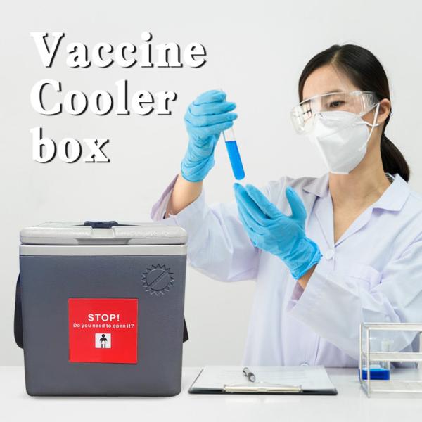 Customizable Vaccine Cooler Box ISO9001 Ice Box For Vaccine