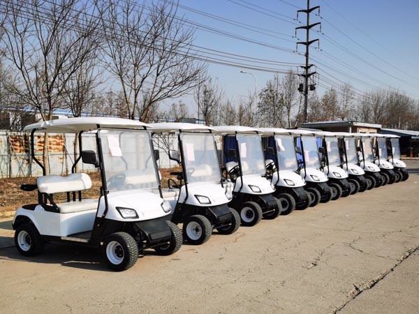 Тележки гольфа 20Мпх Сайтсеиинг законной общины улицы Аэтрик 2021 для сада