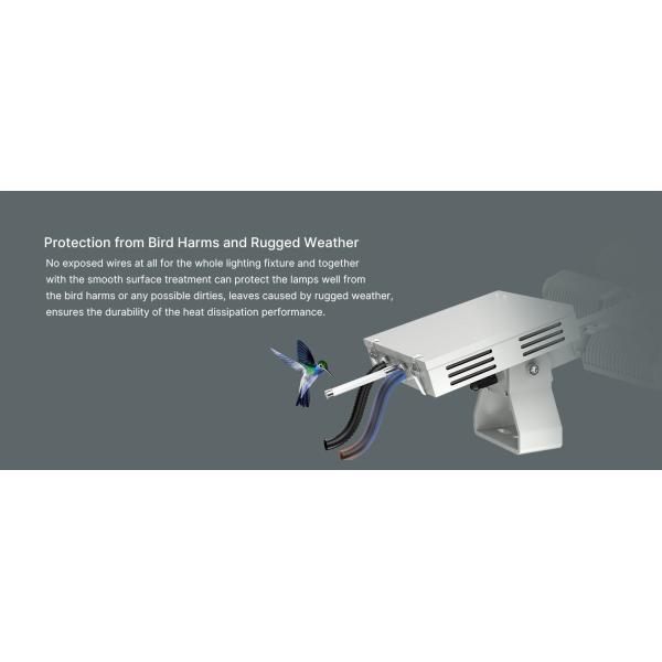 IK09 Lumen Энергосберегающий алюминиевый светодиодный светодиодный лампа с IP66 и Meanwell Driver