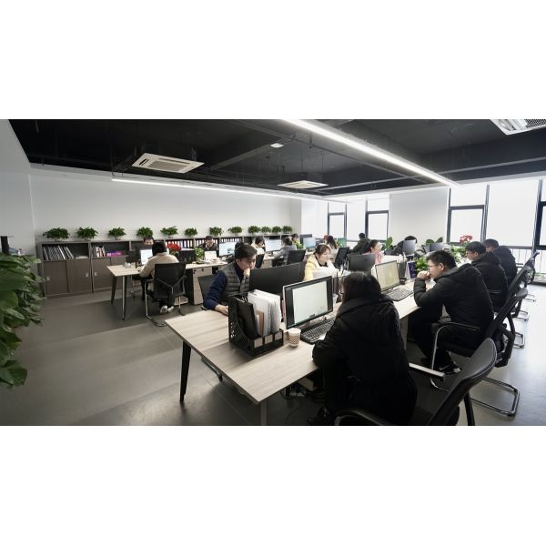 Trumony Aluminum Limited