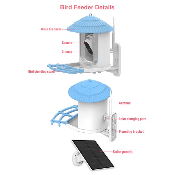 IP66 impermeable 4MP Smart Bird Feeder 2.5L Vida silvestre cámara inteligente para pájaros