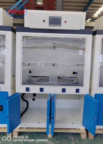 Vertical Sliding Sash Opening Filter Fume Hood Manufacturers for 220V/50Hz Power Supply in Lab Experiments