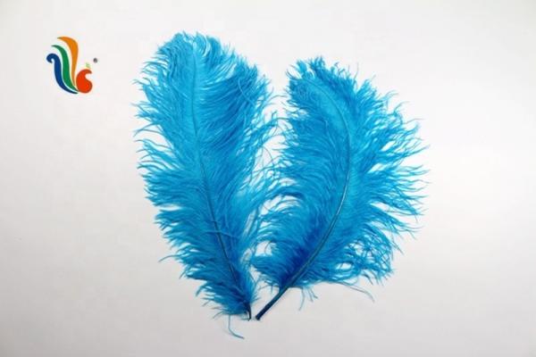 Plumes de penas de avestruz de 40-45cm para eventos