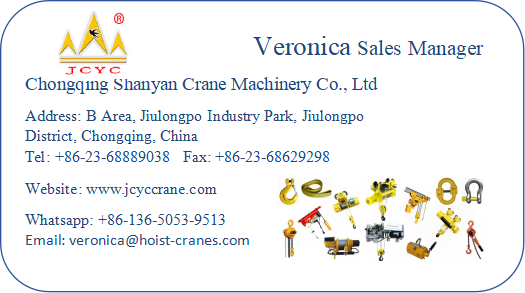 European Type Electric Wire Rope Hoist Double Girder Double Speed M5