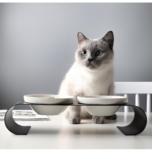 Perro de cerámica elevado Cat Bowls para la comida y el agua