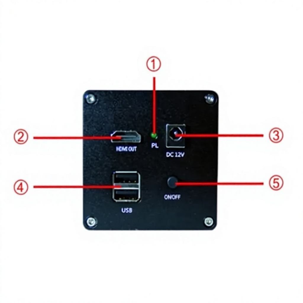 OEM Factory Fast AF Microscope Camera Large Field of View for Automation System QC Testing CE MSS-C-CAF4611