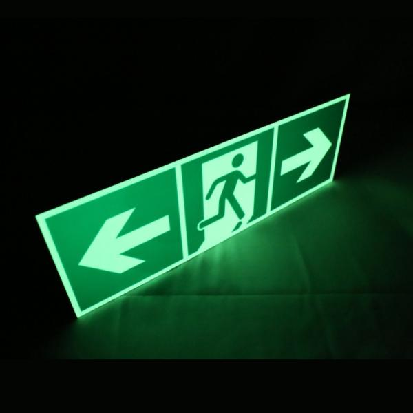 Rectangle Subway Photoluminescent Signage Fire Evacuation Door Signs