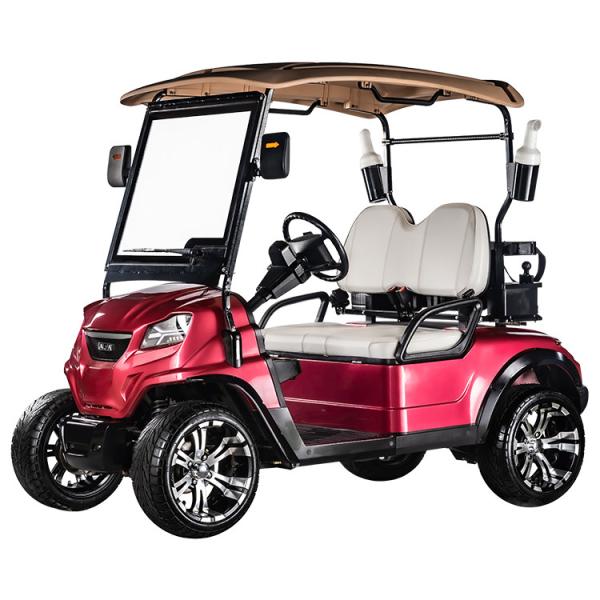 Comfortable 2 Seat Electric Golf Cart Buggy with Front Disc and Rear Drum Brake System