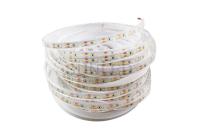 12v SMD2835 Ip68 LED resistente al agua luces de banda flexibles 5 metros por rollo