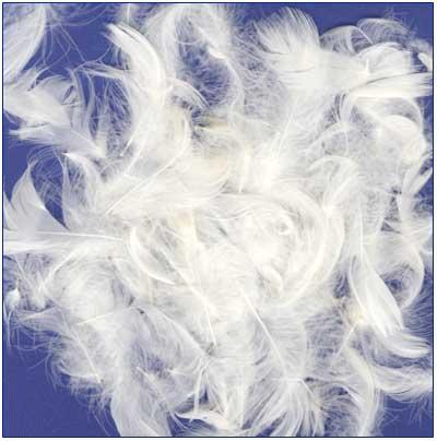 Lujiang Homchang Down and Feather Manufacture Co., Ltd, Duck Down Products
