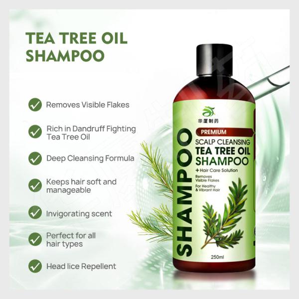Odm Tea Tree Oils Anti Hair Loss Shampoo For Oily Hair Scalp Cleansing