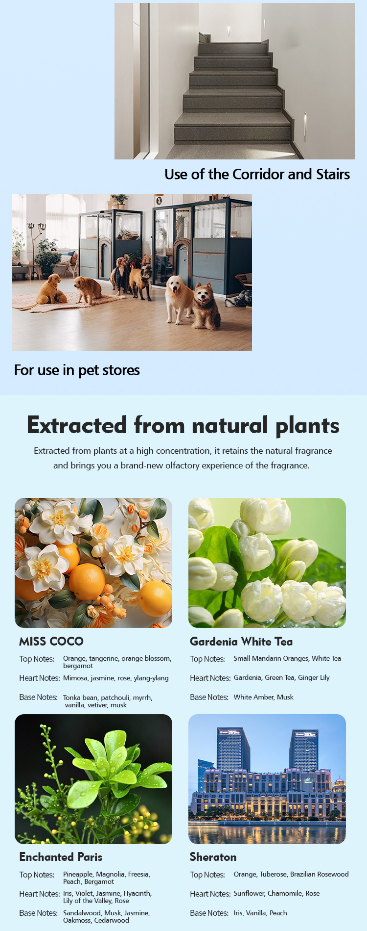 168ML Water Base Essential Oils For Aroma Diffusers In Hotels And Homes