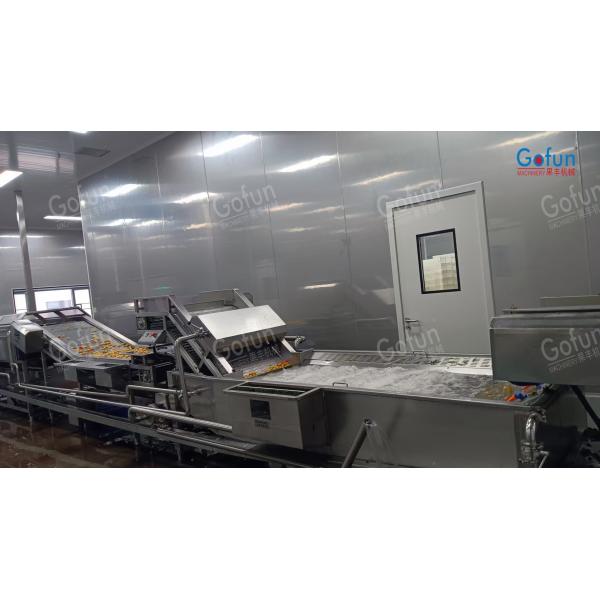 Mango Processing Line with Retains Fresh Fruit Flavor Low-Temperature Vacuum Concentration and Oversea Technical Support